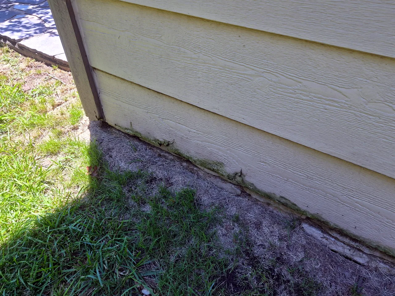 Moisture Damage & Algae on Siding — Before — Grand Lake, OK